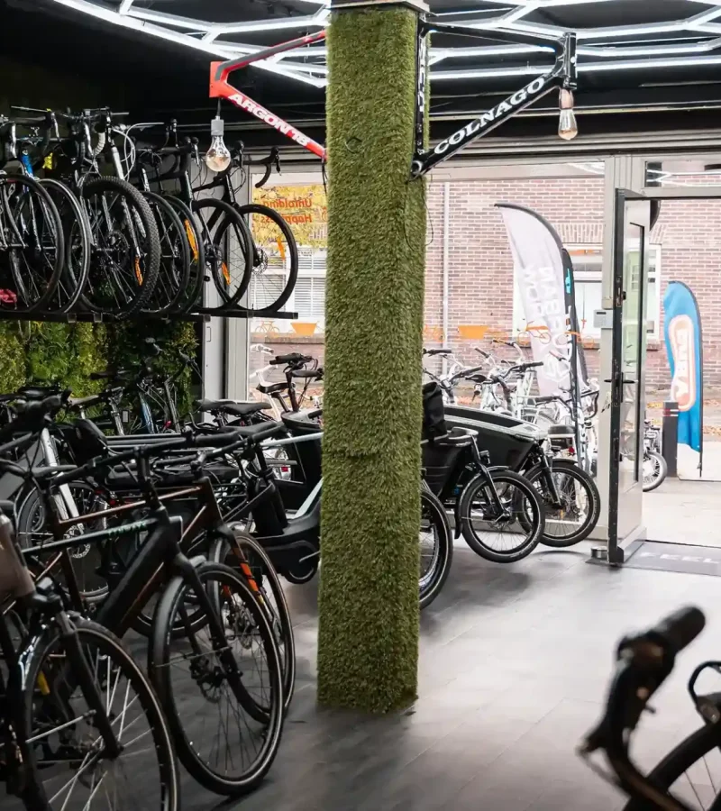 DSC09600_2_11zon_25_11zon