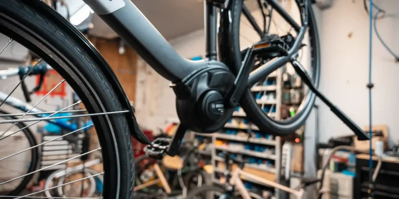 DSC09649_18_11zon_41_11zon