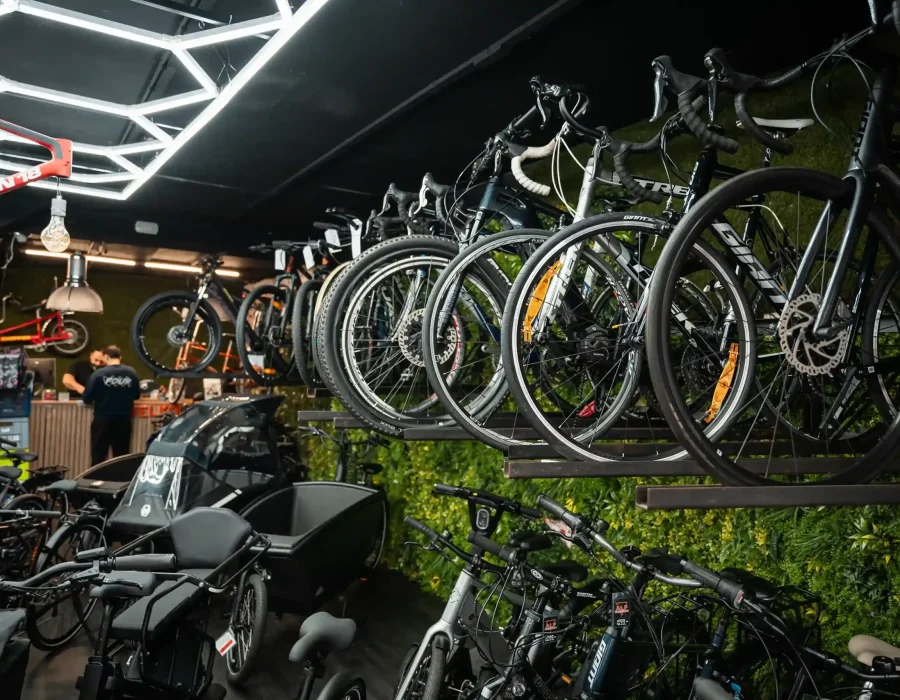 DSC09656_20_11zon_43_11zon