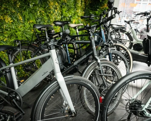 DSC09674_22_11zon_45_11zon